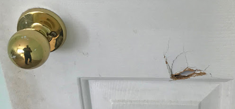 interior door hole repair Sanger